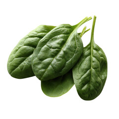 Obraz premium Fresh spinach leaves with vibrant green color, isolated on a white background. Perfect for healthy recipes, nutrition blogs, and food photography.