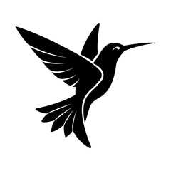 Fototapeta premium Hummingbird vector flying bird wildlife nature animal design art silhouette
