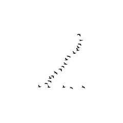 Birds flying in group