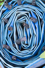 blue irrigation hose with water holes