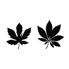 Two leaf silhouettes against a plain white background. Detailed shapes of autumn leaves in a simple, graphic style.
