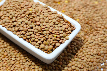 Fototapeta premium Lentils are small brown legumes rich in protein and fiber