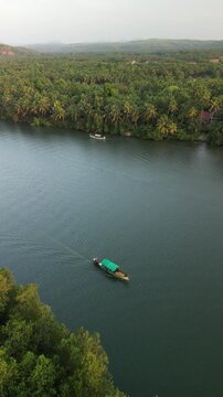 River in the forest, Karnataka, Forest, River, Forest Aerial View, 4k reel content
