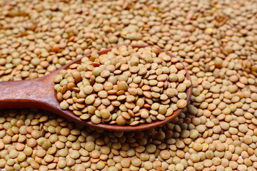 Lentils are small brown legumes rich in protein and fiber