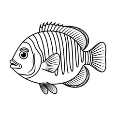 Oscar fish illustration vector style coloring page