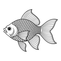gold fish illustration vector style colouring page