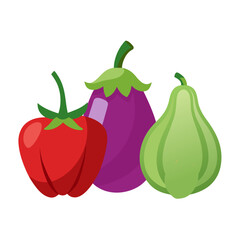 Fresh Vegetables Illustration Red Tomato Eggplant Chayote
