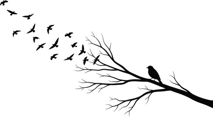 Fototapeta premium Silhouette of a flock of birds flying away from a bare tree branch with one bird perched