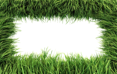 Green grass border frame, isolated on transparent cutout background