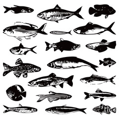 Fish halftone vector