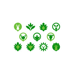 different jungle vine medallion icons set