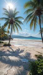 Obraz premium Sunlit Paradise: Tropical Beach Scene with Palm Trees