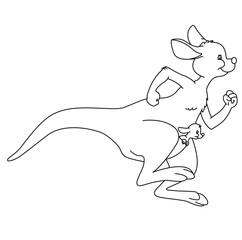 Cute cartoon hand drawn vector Kangaroo outline.