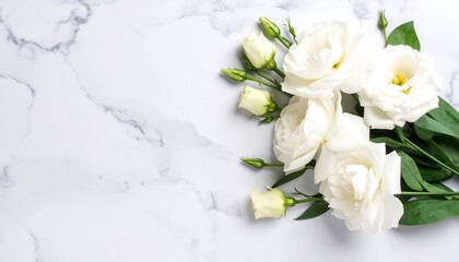 White flowers on a marble surface