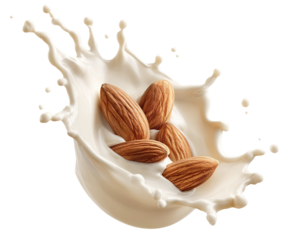 Delicious almonds splashing in creamy almond milk, isolated on transparent cutout background