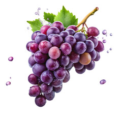 Fototapeta premium bunch of grapes