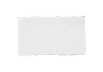 A textured white paper fragment with torn edges isolated on transparent background