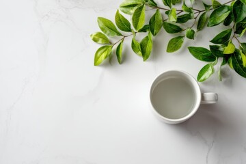 White mug with water and green leaves on marble