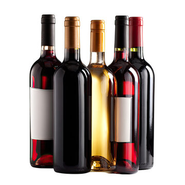 Five wine bottles of various colors