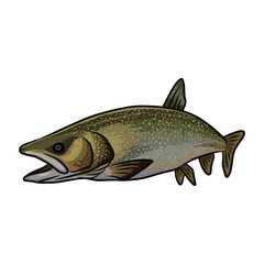 lake trout fishing illustration logo vector image t shirt