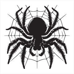 Obraz premium siting spider Silhouette Vector Art, and Graphic, vector black color silhouette