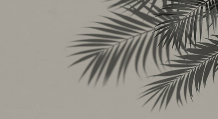 Obraz premium Palm Leaf Shadow on Textured Wall Tropical Elegance for Backgrounds and Design Projects