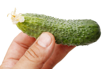 A hand holding a cucumber