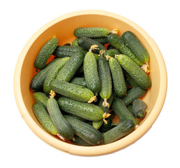 A bowl full of cucumbers