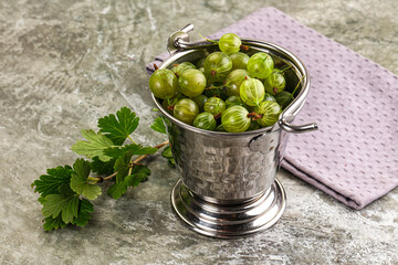 Ripe sweeet and juicy gooseberry