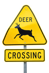 Deer crossing warning traffic sign with a jumping deer silhouette isolated on a transparent background