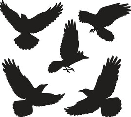 Flying Crow Silhouettes Vector Set