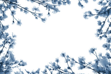 Snow covered branches are isolated on transparent background