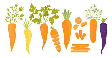Colorful set of carrots with whole, sliced, and cut pieces. Includes orange, yellow, and purple carrots. Vector illustration of fresh vegetables. Great for healthy food, recipes, and farm designs.