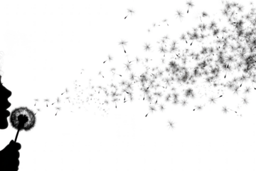 Silhouette of a person blowing dandelion seeds on a white background