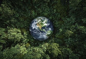 Our Planet: Earth, Environment, and Earth Day Celebration
