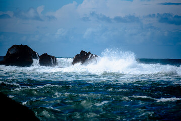 2024 03 21 Essaouira cliffs 126