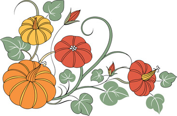 Colorful illustration of a blooming pumpkin flower in bright fall colors. Pumpkin flower in vibrant colors with elegant flat art style. Beautiful botanical drawing of a colorful pumpkin blossom