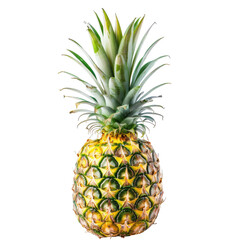Fototapeta premium Fresh pineapple, vibrant yellow-green (1)