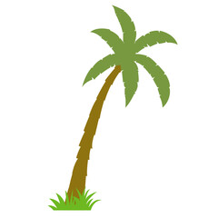 Coconut palm tree vector icon. Palm Tree illustration sign. Palm symbol or logo.