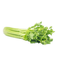 Fresh green celery stalks with leafy tops a healthy vegetable isolated on transparent background