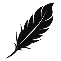 A bold silhouette of a feather, a symbol of freedom, lightness, and spiritual significance.