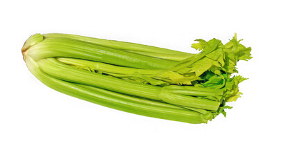 Fresh green celery stalks with leafy tops a healthy vegetable isolated on transparent background