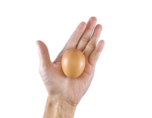 Close-up of human hand carefully holding one raw egg, isolated for culinary or organic farm concept
