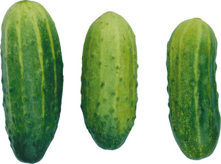 Three whole green cucumbers with textured skin and light green stripes isolated on transparent...