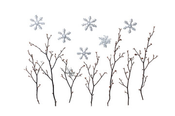 Obraz premium Bare branches with snowflakes falling isolated on transparent background