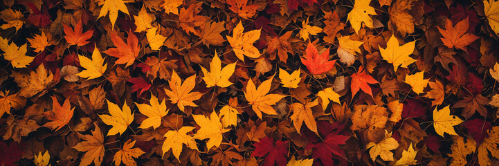 Dense Carpet of Fallen Autumn Leaves in Warm Colors