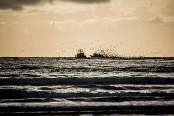 2024 03 21 Essaouira Fishing boat 68