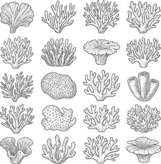 Stunning Hand-Drawn Coral Reef Illustrations for Design and Nature Art Projects
