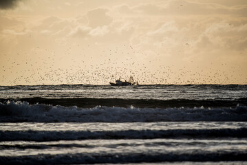 2024 03 21 Essaouira Fishing boat 76