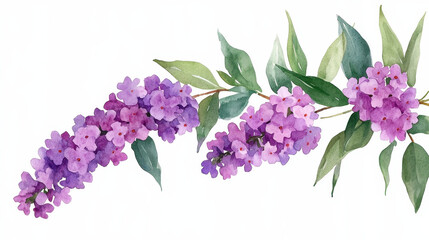 Watercolor botanical illustration of lilac flowers with green leaves, showcasing vibrant colors and delicate details
